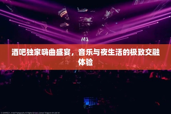 酒吧独家嗨曲盛宴，音乐与夜生活的极致交融体验