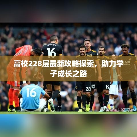 高校228层最新攻略探索，助力学子成长之路