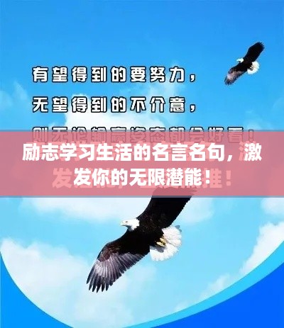 励志学习生活的名言名句，激发你的无限潜能！