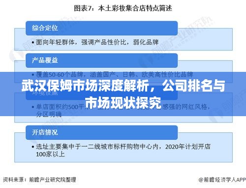 武汉保姆市场深度解析，公司排名与市场现状探究