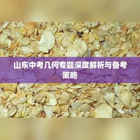 山东中考几何专题深度解析与备考策略