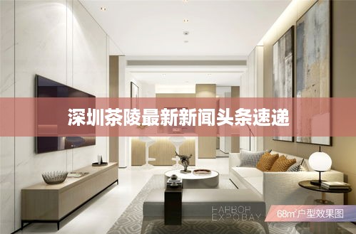 深圳茶陵最新新闻头条速递