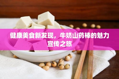 健康美食新发现，牛奶山药棒的魅力宣传之旅