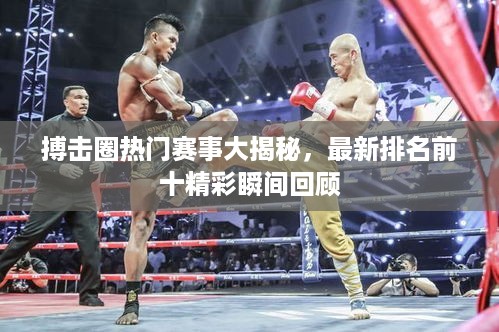 搏击圈热门赛事大揭秘，最新排名前十精彩瞬间回顾