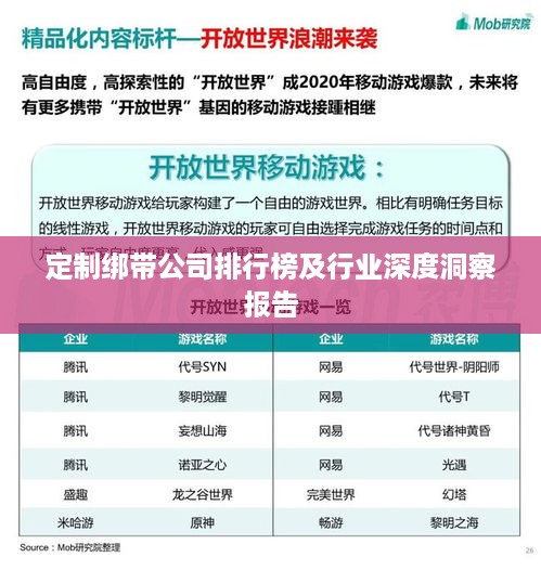 定制绑带公司排行榜及行业深度洞察报告