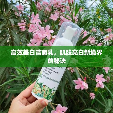 高效美白洁面乳，肌肤亮白新境界的秘诀