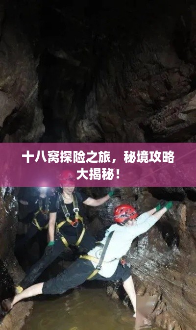 十八窝探险之旅，秘境攻略大揭秘！