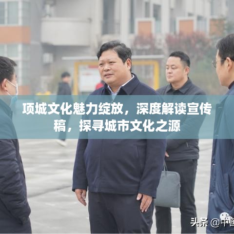 项城文化魅力绽放，深度解读宣传稿，探寻城市文化之源