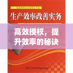 高效授权，提升效率的秘诀所在，下载之道引领前行