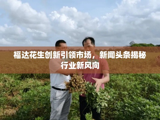 福达花生创新引领市场，新闻头条揭秘行业新风向