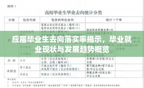 应届毕业生去向落实率揭示，毕业就业现状与发展趋势概览