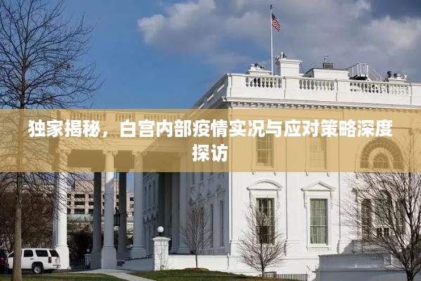 独家揭秘，白宫内部疫情实况与应对策略深度探访