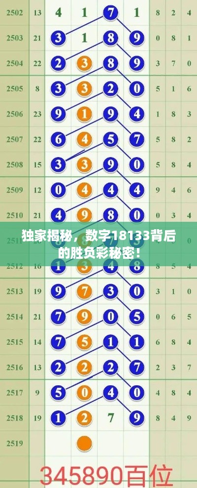 独家揭秘，数字18133背后的胜负彩秘密！
