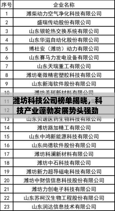 潍坊科技公司榜单揭晓，科技产业蓬勃发展势头强劲