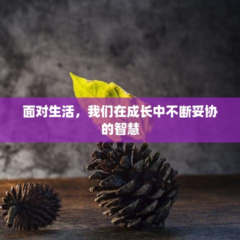 面对生活，我们在成长中不断妥协的智慧