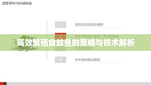 存证 第48页