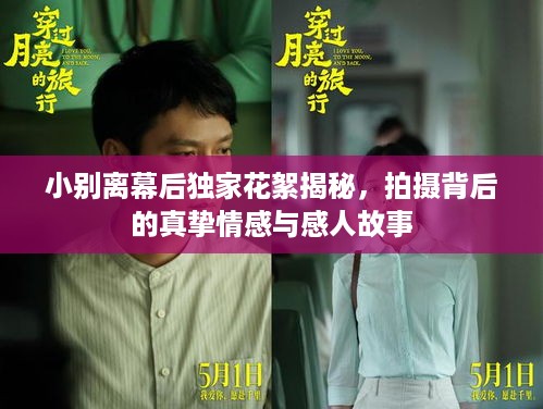 取证 第39页