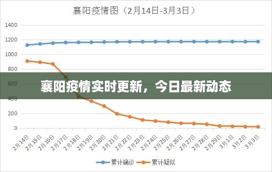 襄阳疫情实时更新，今日最新动态