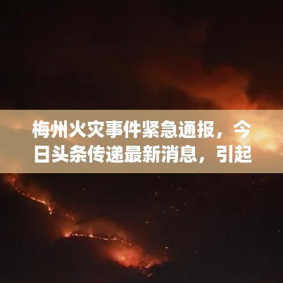 就地取材