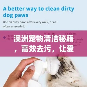 一张一翕