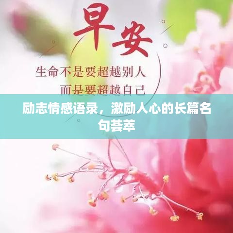 yiwangwuqian