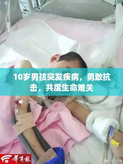 存证 第10页