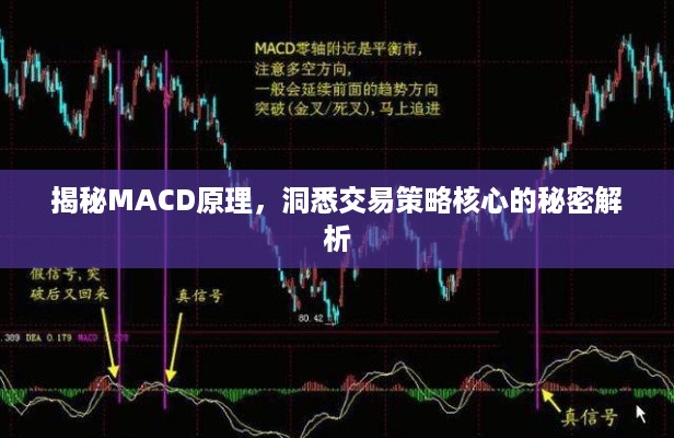 花开无言