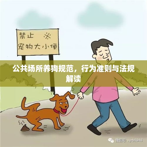 差强人意